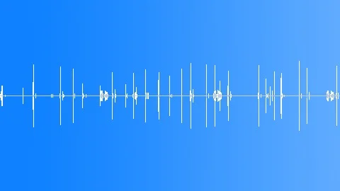 stop record sound effect