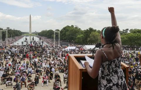 Commitment March in Washington DC, USA - 27 May 2013 Stock Photos