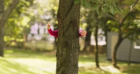 Commitment to nature. Female hands embracing tree trunk in park 動画素材 141943251