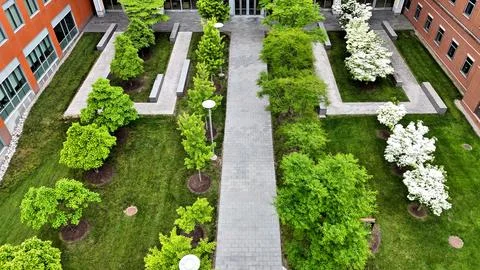 Commits to the Adaptation- Syracuse University 库存照片