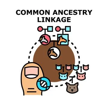 Common ancestry lineage finding genetic connection Stock Illustration