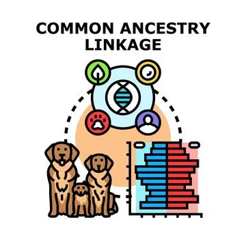 Common ancestry linkage concept uniting diverse life forms Stock Illustration