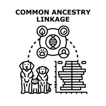 Common ancestry linkage concept uniting diverse life forms Stock Illustration