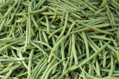 Common Beans Stock Photos