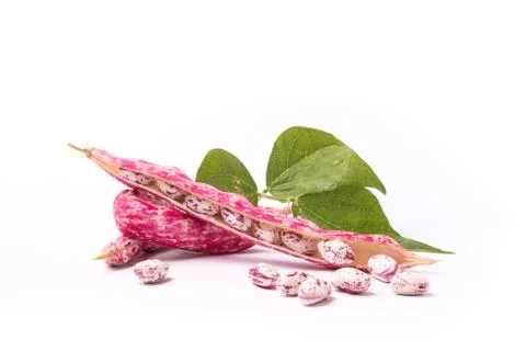 Common beans on white background Stock Photos