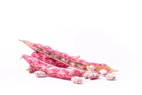 Common beans on white background Stock Photos