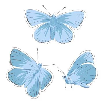 Common Blue butterfly Stock Illustration