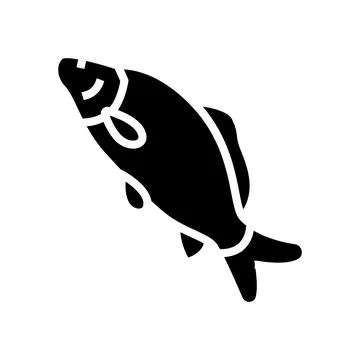 Common carp glyph icon vector illustration 스톡 일러스트