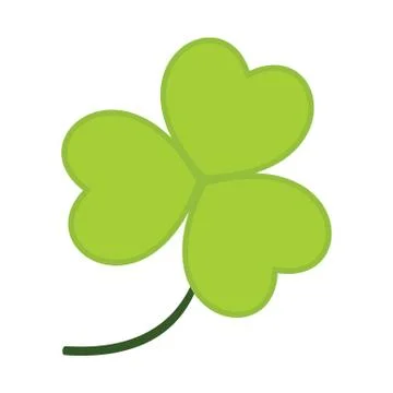 Common Clover Leaves Vector Illustration Graphic Stock Illustration