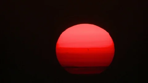 Common crane Stock Footage 79041455