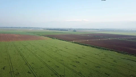 Common Cranes In flight Aerial view Stock Footage 109568685