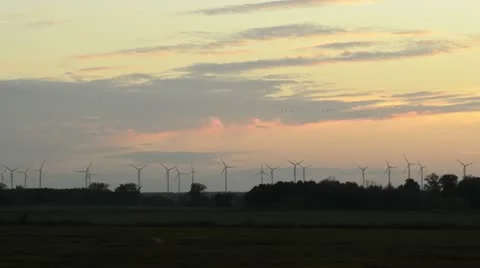 Common cranes (Grus grus) with windmills, Germany Stock Footage 18007507
