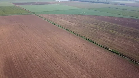 Common Cranes Migration Aerial view Stock Footage 109483968