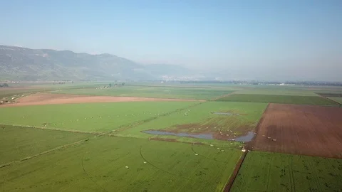 Common Cranes Migration Aerial view Stock Footage 109483969