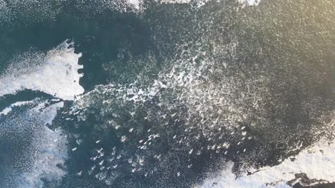 Common Dolphin Megapod Foam High Top View - DRONE Stock Footage 327766759