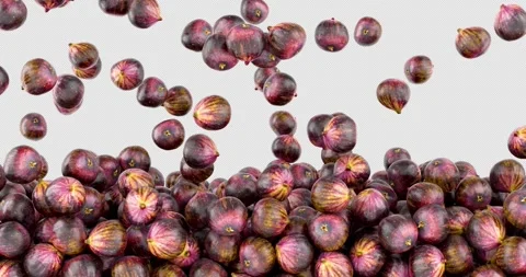 Common figs with realistic texture falling and fill the screen. 3D animatio.. Stock Footage 299740076