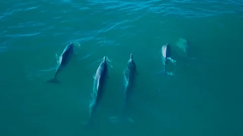 Common Goal Stock Footage 101297740