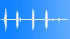 Common Gonolek Alarm Calls Sound Effect