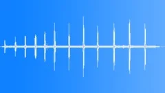 Common Gonolek Pair Dueting Sound Effect