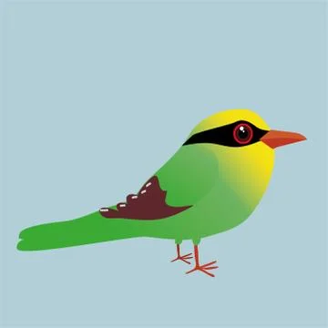 Common green magpie イラスト素材