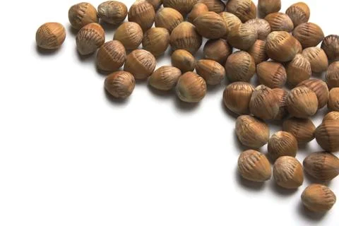 Common Hazel Cobnuts Stock Photos