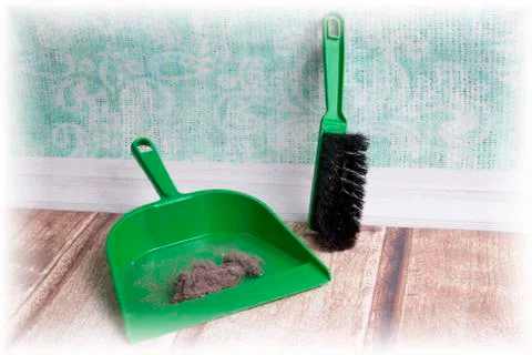 Common house dust Stock Photos