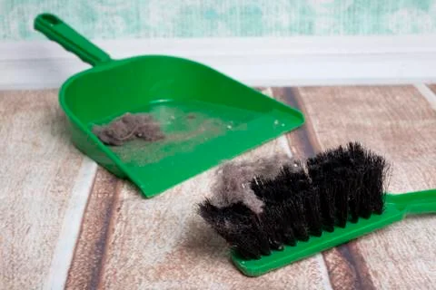 Common house dust Stock Photos
