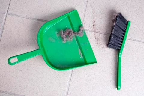 Common house dust Stock Photos