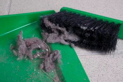 Common house dust Stock Photos