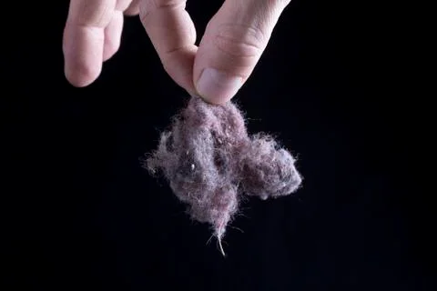 Common house dust Stock Photos