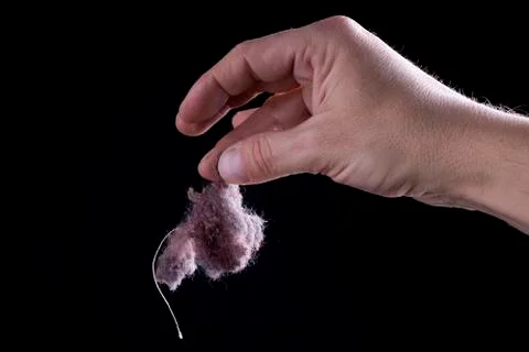 Common house dust Stock Photos