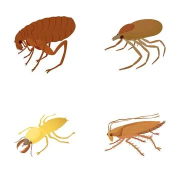 Common household pests causing infestation and disease イラスト素材