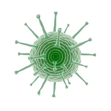 Common Human Virus Or Bacteria Under A Microscope Close Up 库存插图