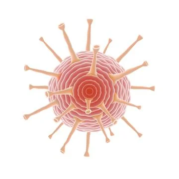 Common Human Virus Or Bacteria Under A Microscope Close Up Stock Illustration