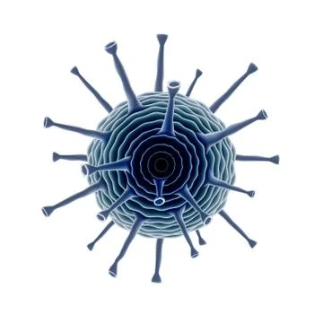 Common Human Virus Or Bacteria Under A Microscope Close Up Stock Illustration