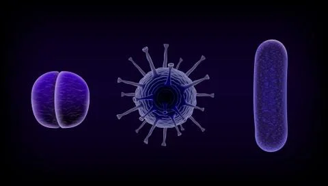 Common Human Virus Or Bacteria Under A Microscope Close Up Stock Illustration