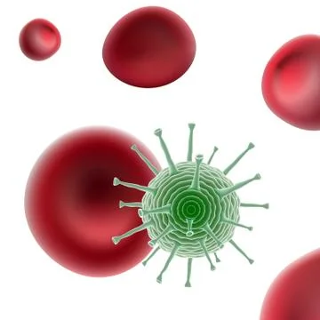 Common Human Virus Or Bacteria Under A Microscope Close Up Stock Illustration