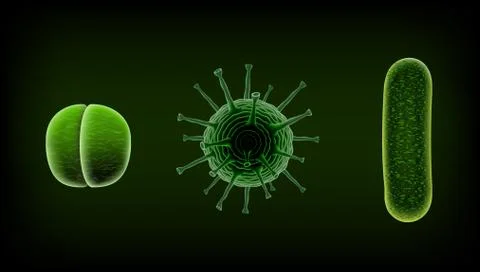 Common Human Virus Or Bacteria Under A Microscope Close Up Stock Illustration