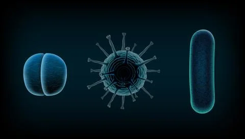 Common Human Virus Or Bacteria Under A Microscope Close Up Stock-Illustration