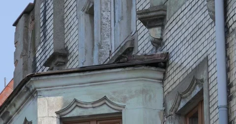 Common Jackdaw Corvus Monedula flies out of the nest in slow motion building Stock Footage 242587424