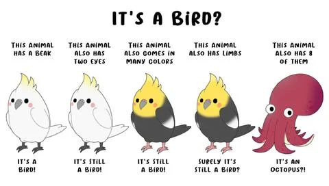 Common knowledge Illustrazione stock