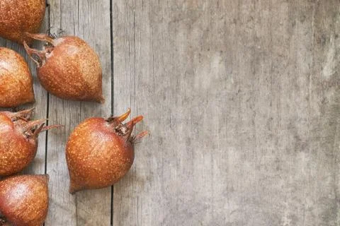 Common medlar fruit mispel Stock Photos