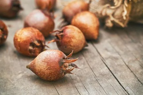 Common medlar fruit mispel Stock Photos