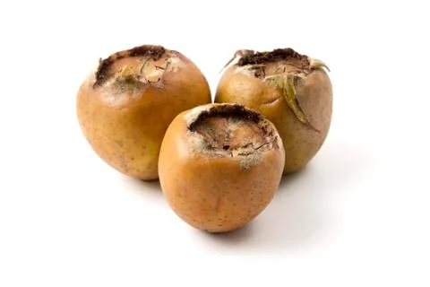 Common medlar Stock Photos