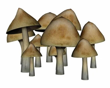 Common mushrooms - 3D render Stock Illustration