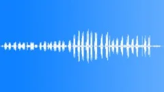 Common Newtonia CU Calls Sound Effect