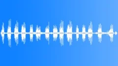 Common Newtonia CU CallsSound Effect