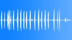 Common Newtonia CU Calls Sound Effect