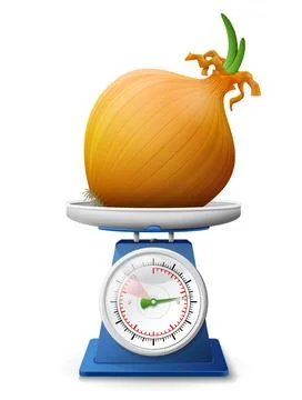 Common onion on scale pan Stock Illustration