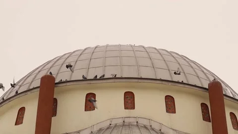 Common pigeons flying from the dome of a mosque in Erzurum, Turkey Video stock 149545113